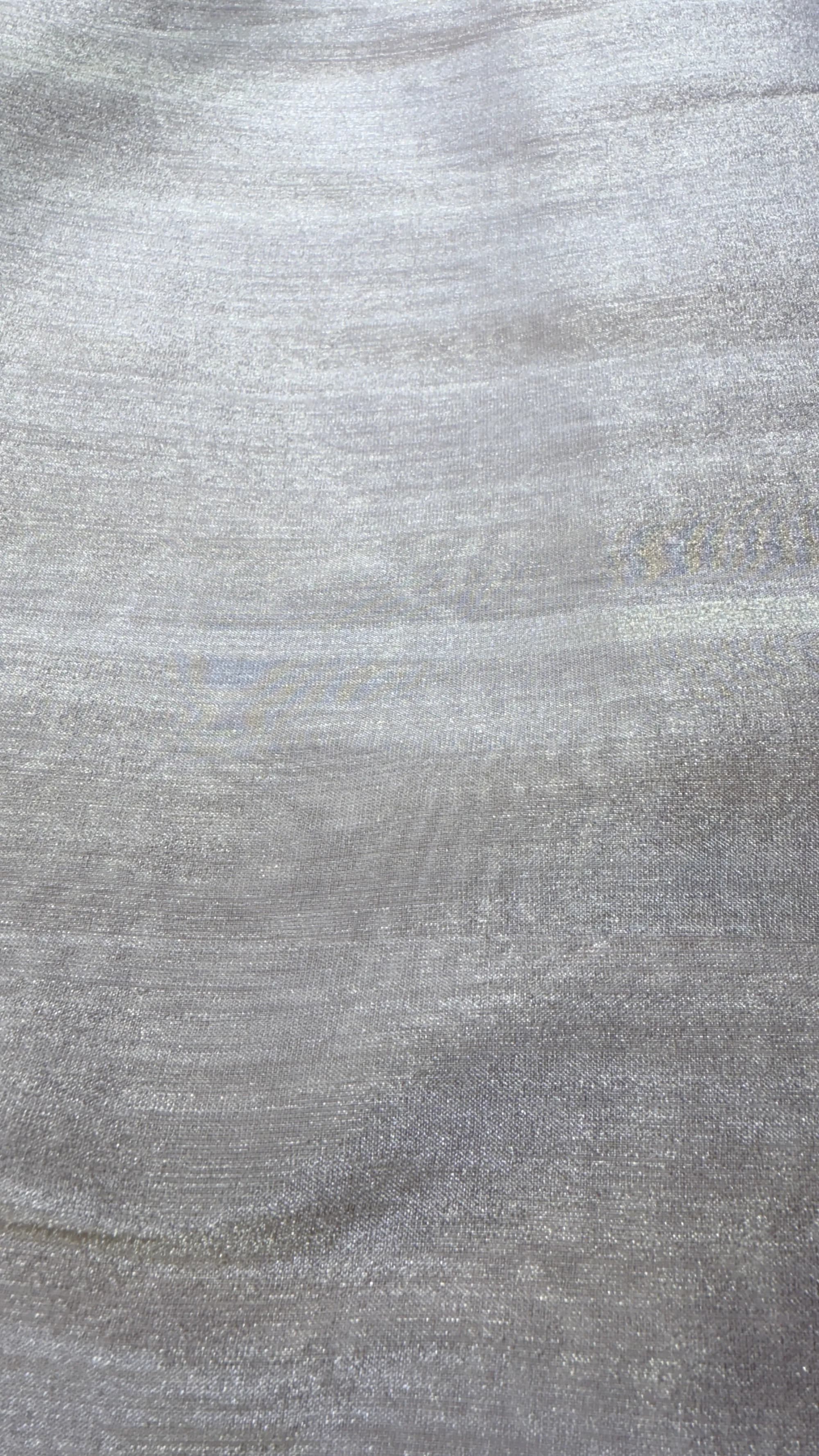 Banarasi Jari fabric detail 4